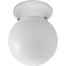 P360530 - CTC-Glass Globe 1-60W Med Fitter - Progress Lighting