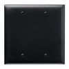 TP23BK - Trademaster Wallplate 2G Blank Box Mount BK - Legrand-Pass & Seymour