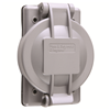 WPG1 - WP CVR Flanged Inlets/Outlets 1.96 - Pass & Seymour/Legrand