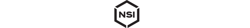 NSI Logo