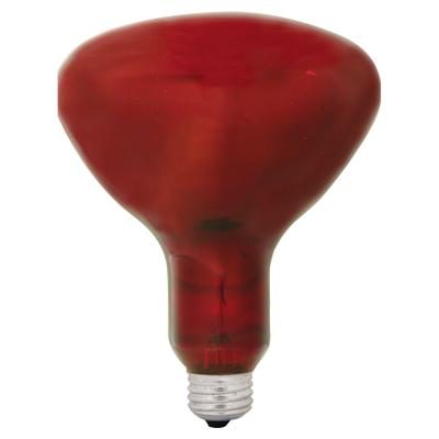 250r4010 250r40 10 6pk 120 Ge Cur 250w 120v R40 Med Base Red Infrared Heat Lamp - Ge Infrared Heat Lamp 250w 250r4010 250r40 10 6pk 120 Ge Cur 250w 120v R40 Med Base Red Infrared Heat Lamp - Ge Infrared Heat Lamp 250w