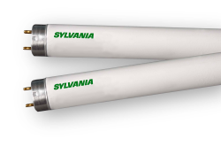 F017741EC0 - 17W T8 24" 4100K 75 Cri Bi-Pin Energy Saving - Sylvania