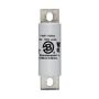 FWP100A - 100A 700V Fuse - Eaton