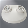 LEMR2 - Pathlinx Remote Head 2 Heads - Cooper Lighting Solutions