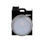 M22DRLWK11WP - White FL Ill Main PB 1NO/1NC 12-30VAC/DC Led LGND - Eaton